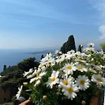 Chiaro Di Luna